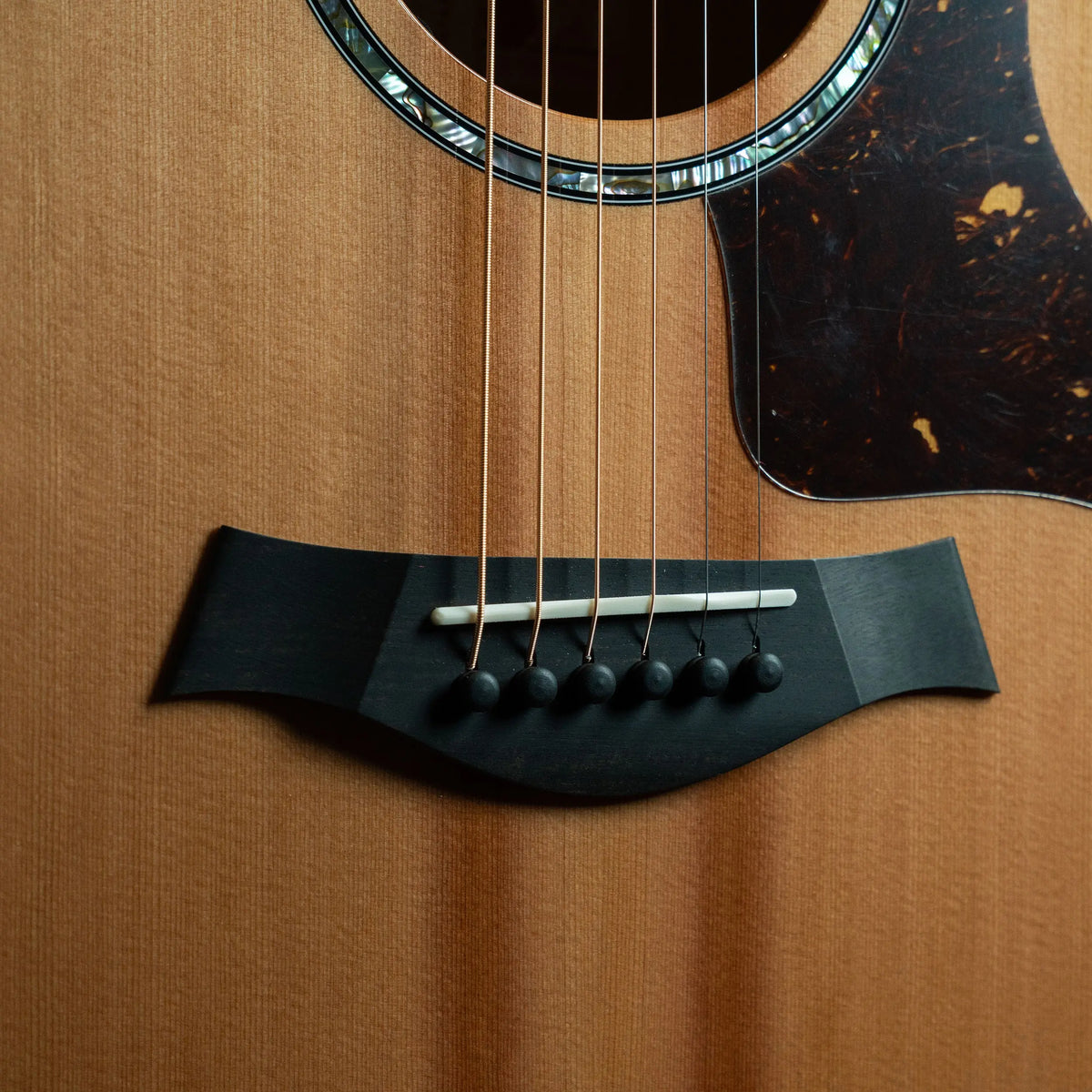 Taylor Next Generation 514ce Acoustic Guitar Midwood Guitar