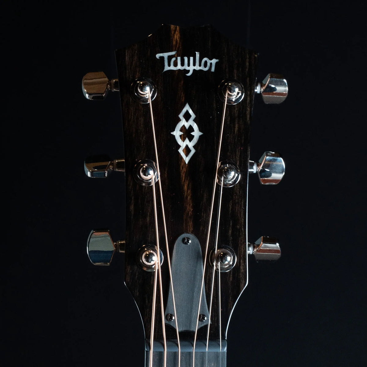 Taylor Next Generation 514ce Acoustic Guitar Taylor
