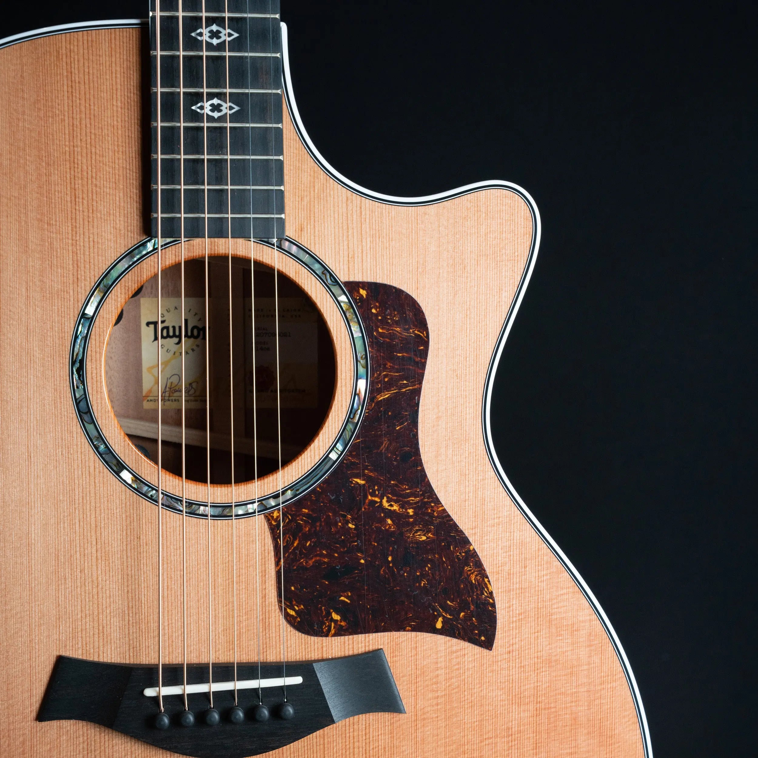 Taylor Next Generation 514ce Acoustic Guitar Taylor