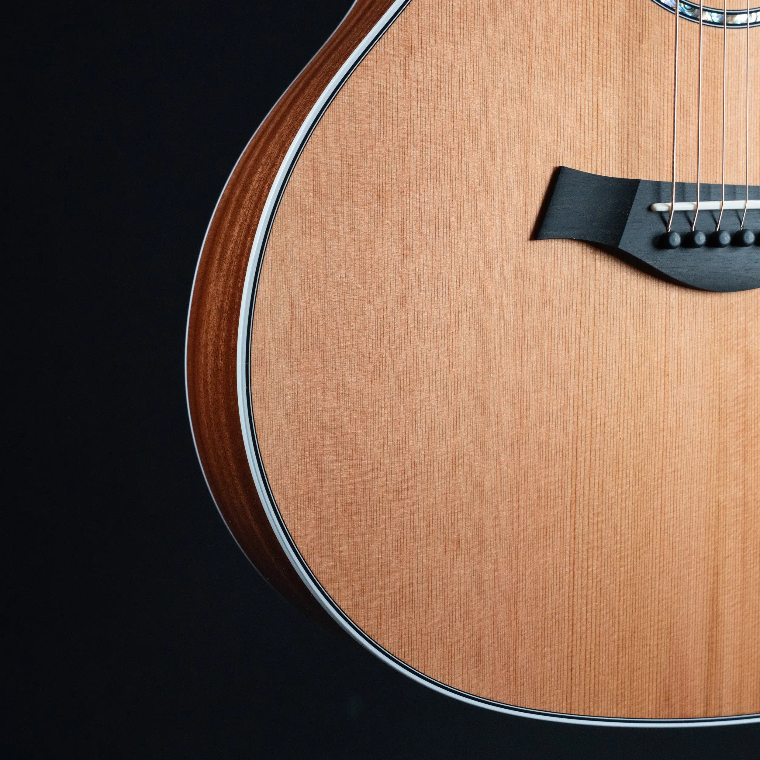 Taylor Next Generation 514ce Acoustic Guitar Taylor
