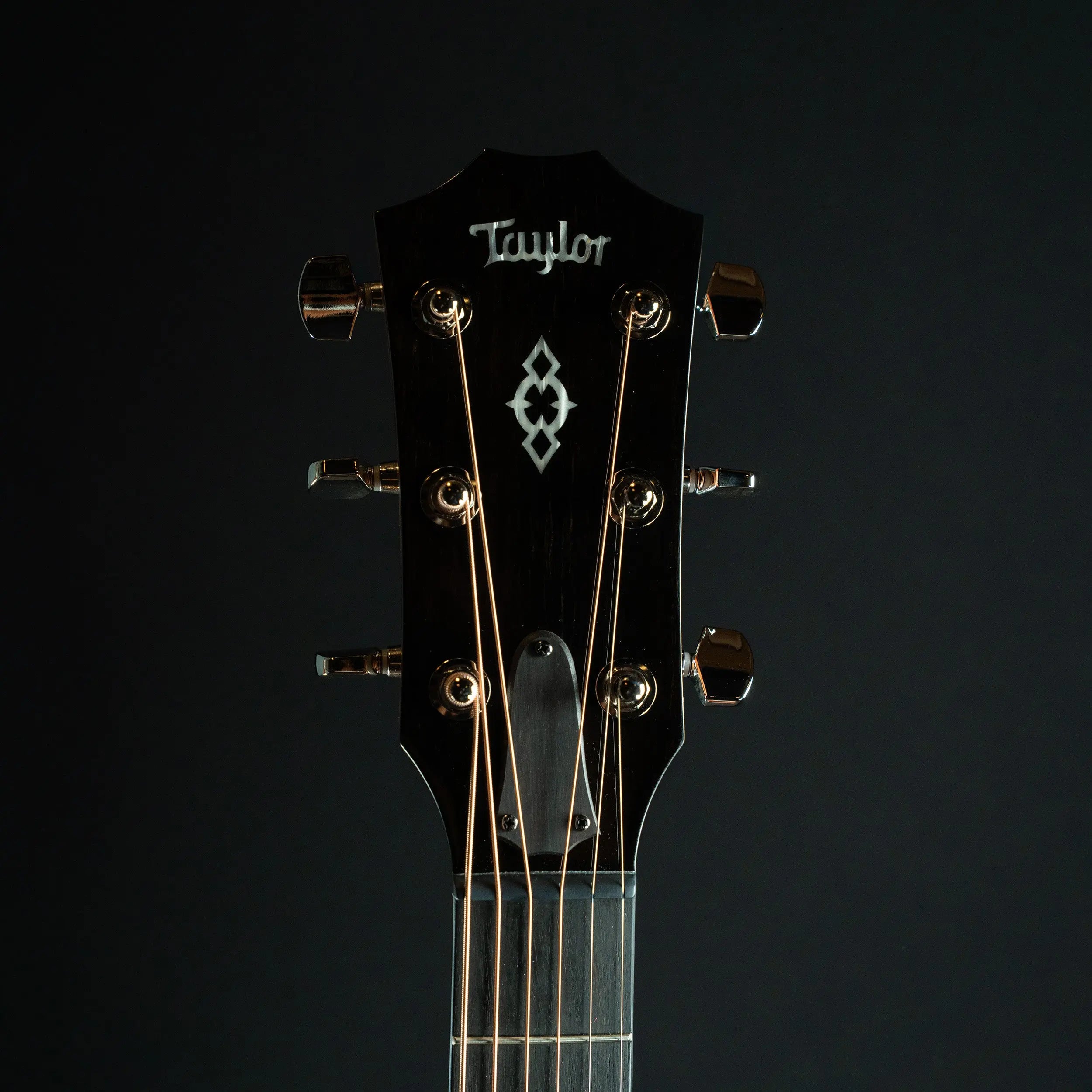 Taylor Next Generation 514ce Acoustic Guitar Midwood Guitar