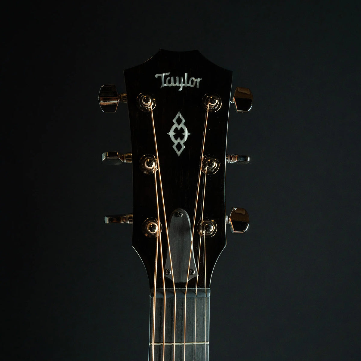 Taylor Next Generation 514ce Acoustic Guitar Midwood Guitar