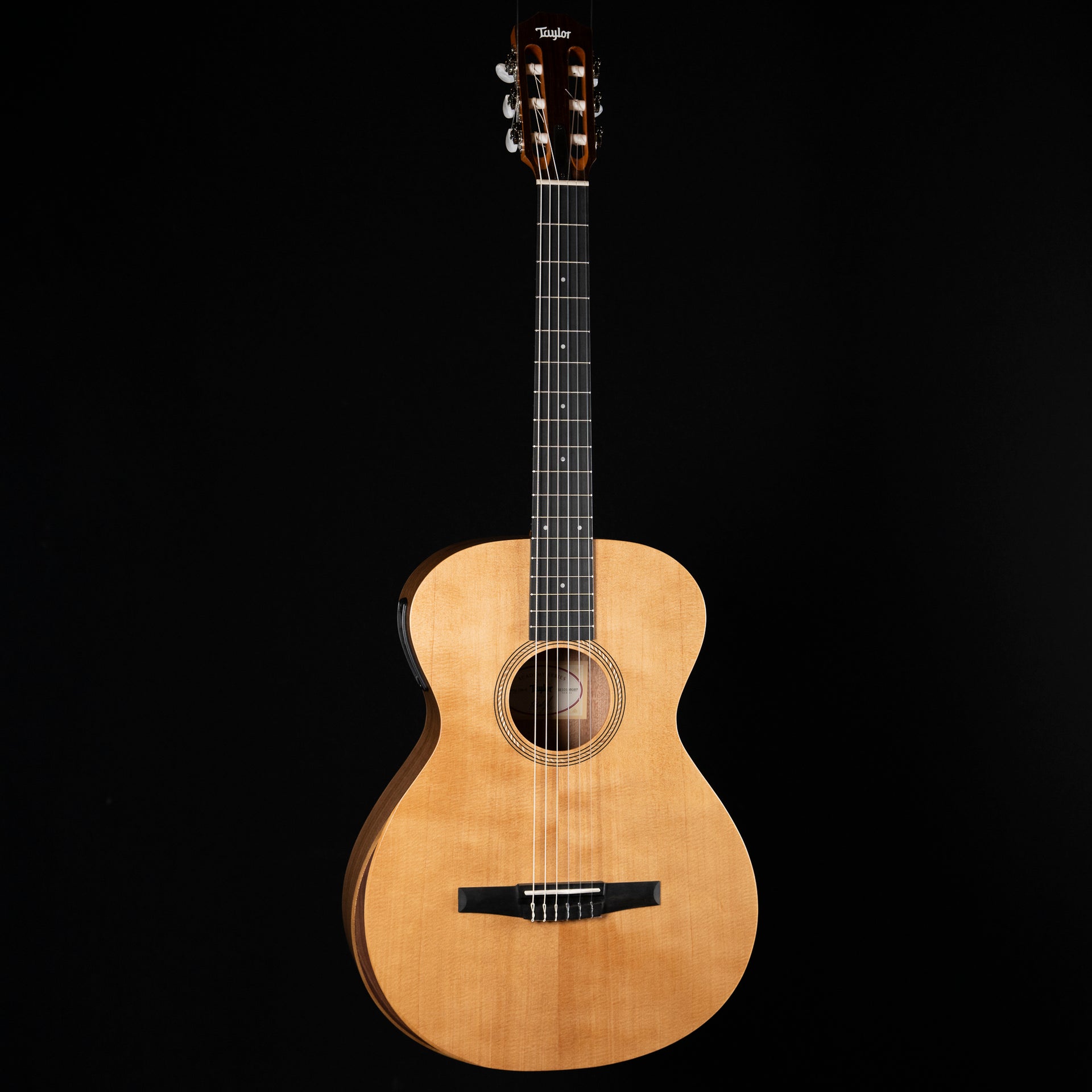 Taylor Academy 12e-N Acoustic Electric Guitar