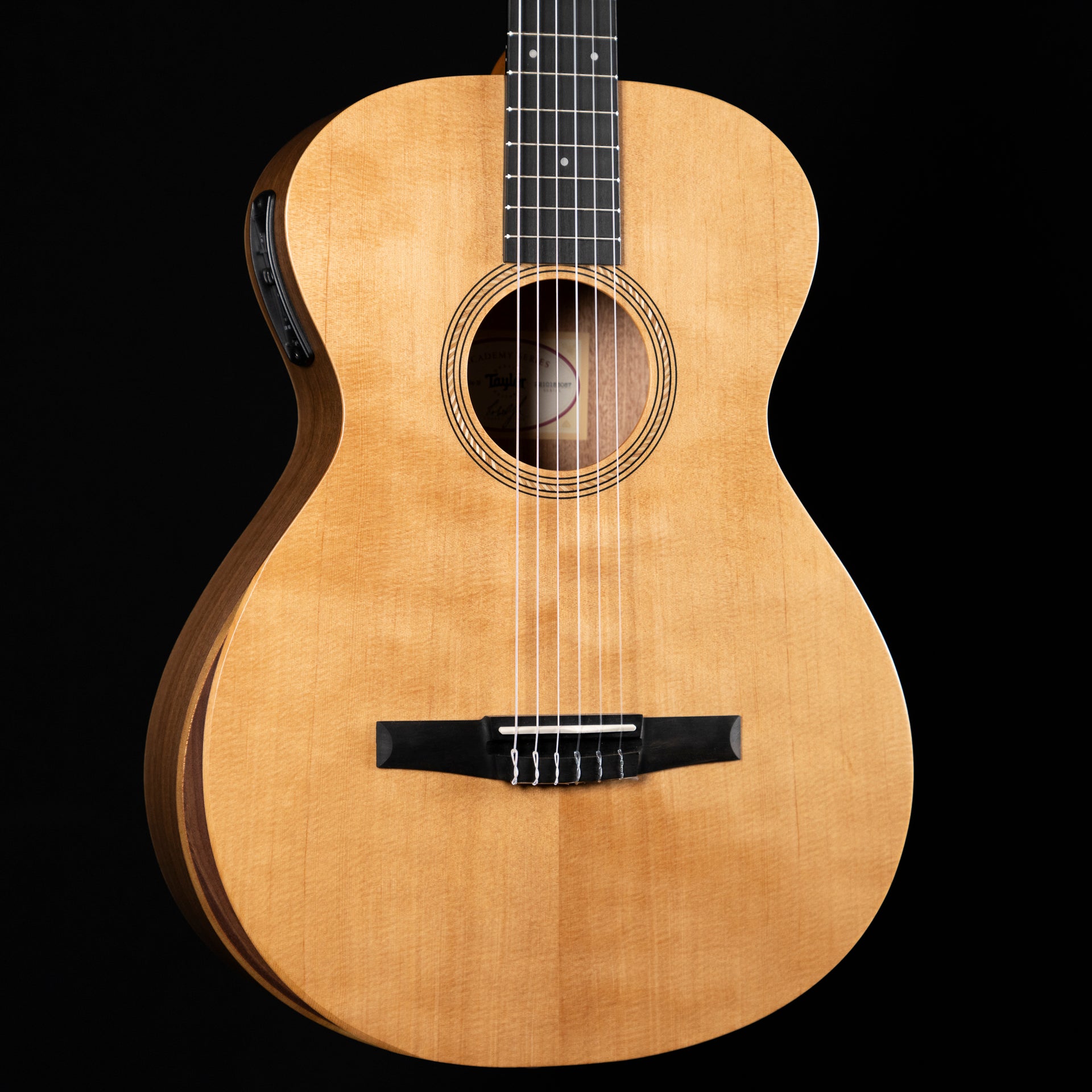 Taylor Academy 12e-N Acoustic Electric Guitar