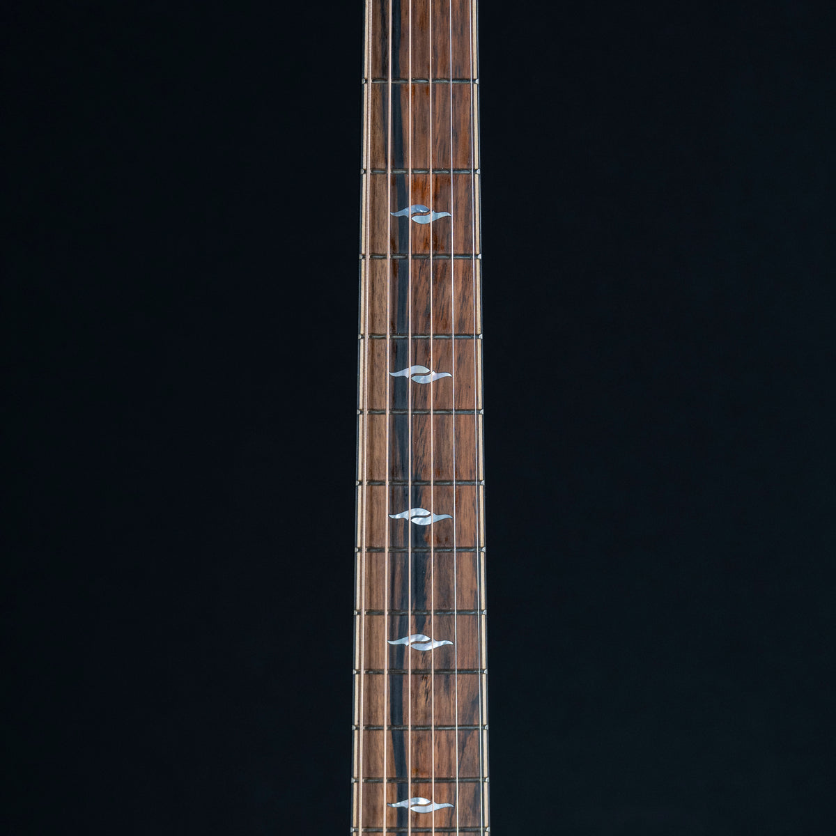 2024 Taylor Builder's Edition 814ce | Preowned