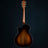 2024 Taylor Builder's Edition 814ce | Preowned
