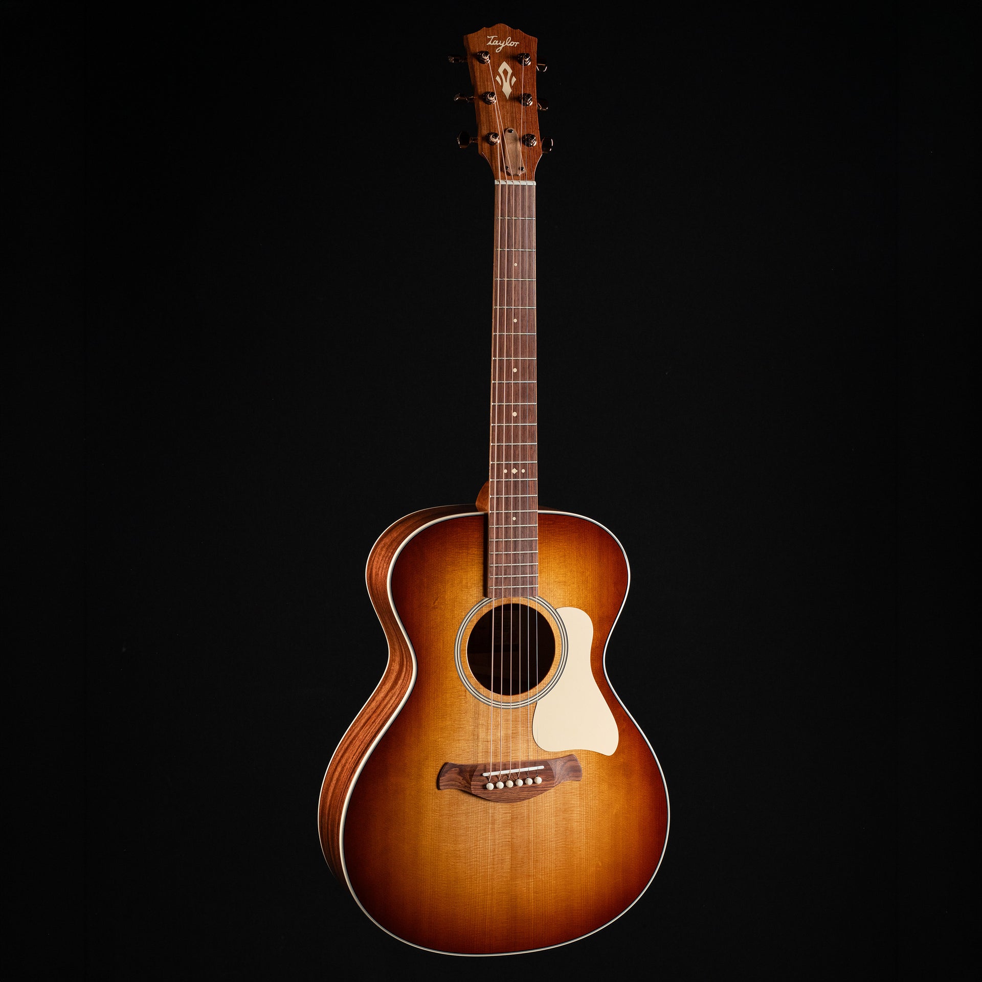 Taylor Ben Harper Gold Label 512e Special Edition