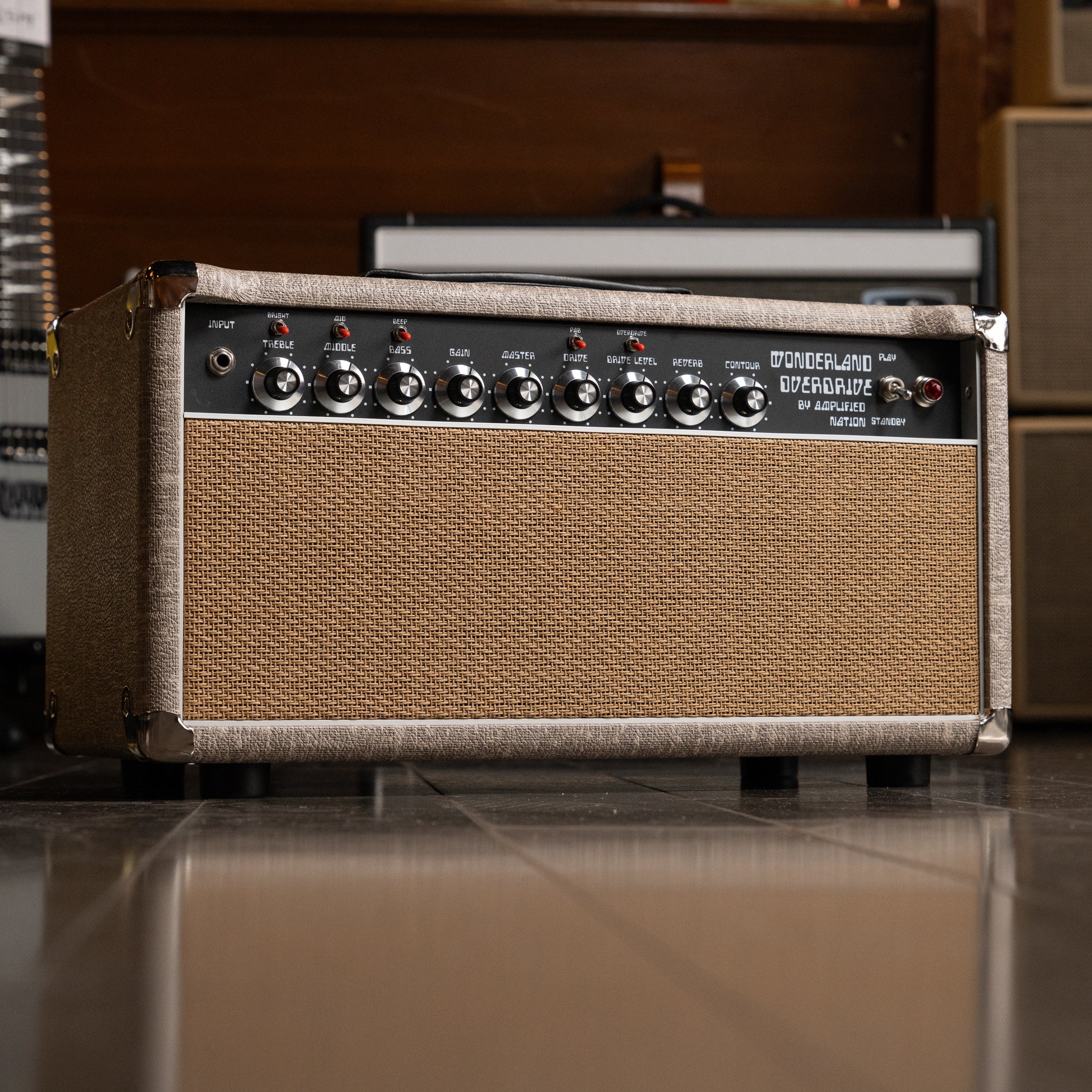 2025 Amplified Nation Wonderland V2 Overdrive 22W Head - Fawn - Midwood Guitar