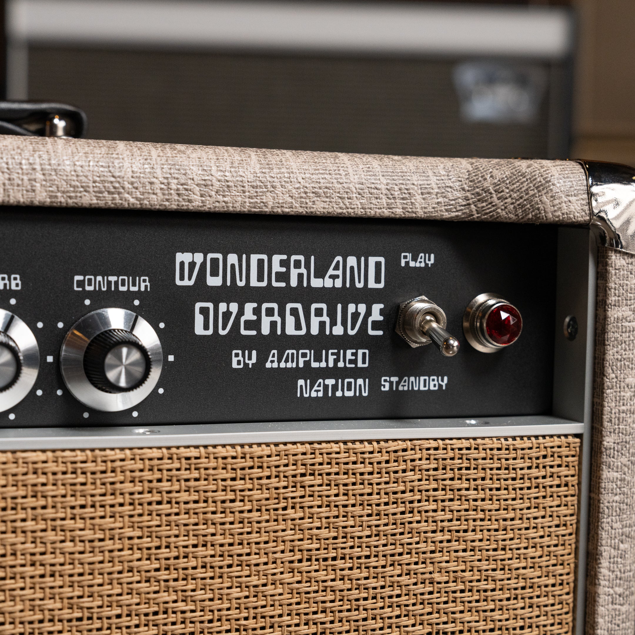 2025 Amplified Nation Wonderland V2 Overdrive 22W Head - Fawn - Midwood Guitar